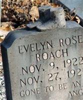 Evelyn Rose Roach