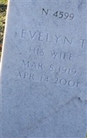 Evelyn T Stream