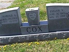 Evelyn V. Cox