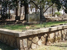 Evelyn Weems Brown