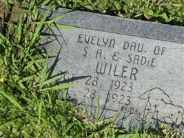 Evelyn Wiler Evelyn Wiler
