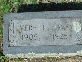Everett Havey Everett Havey