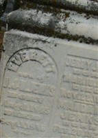Everett Jenks