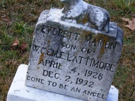 Everett Marion Lattimore