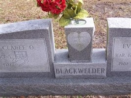 Everette L Blackwelder
