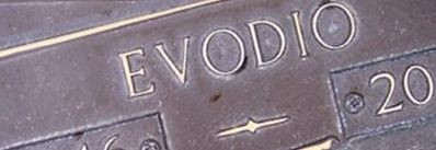 Evodio Moreno