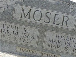 Evvie R Moser
