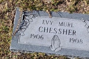 Evy Murl Chessher Evy Murl Chessher