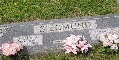 Ewald A. Siegmund