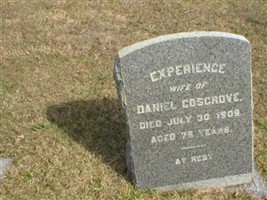 Experience Cosgrove Experience Cosgrove