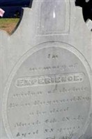 Experience Shaw Hayward