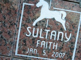 Faith Elizabeth Sultany Faith Elizabeth Sultany