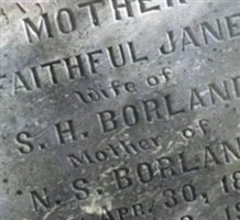 Faithful Jane Borland