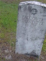 Falconer Lafayette Falconer Lafayette