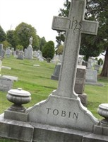 Family of Tobin