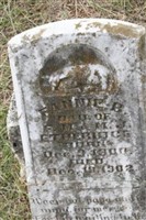 Fannie B. Etheridge Fannie B. Etheridge
