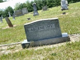 Fannie E. Causby Abernethy Fannie E. Causby Abernethy