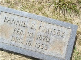 Fannie E. Causby Abernethy Fannie E. Causby Abernethy