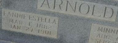 Fannie Estella Arnold