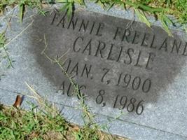 Fannie Freeland Carlisle (1911818.jpg)
