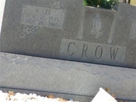 Fannie J. Magnuson Crow