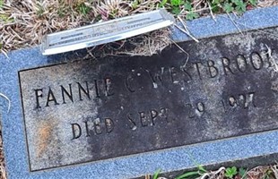 Fannie Jane Carlan Westbrook