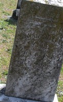 Fannie Joyner Cobb