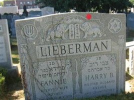 Fannie Lieberman Fannie Lieberman