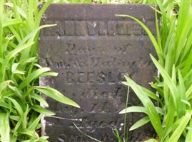 Fannie Louisa Beasley Fannie Louisa Beasley