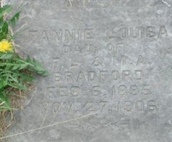 Fannie Louisa Bradford Fannie Louisa Bradford