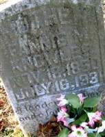 Fannie Malinda Weatherford Knowles Fannie Malinda Weatherford Knowles