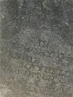 Fannie Maybelle Williamson