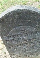 Fannie Maybelle Williamson