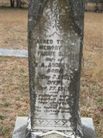 Fannie Sims Andrews
