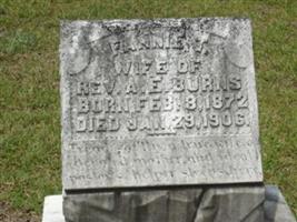 Fannie Thomas Burns (2085328.jpg)