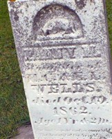 Fanny M Wells
