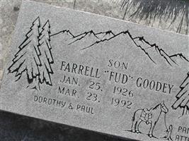 Farrell Lloyd Goodey