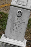 Fay Arrant Heard Fay Arrant Heard