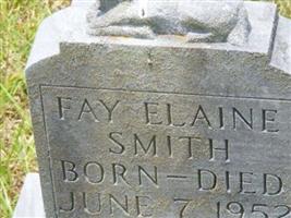 Fay Elaine Smith