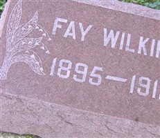 Fay Wilkins