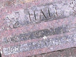 Faye B Hall