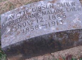 Fayette Gibson Chew