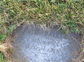 F.E. Wille (1890682.jpg)