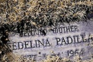 Fedelina Padilla