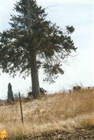 Fee-Carlin Cemetery