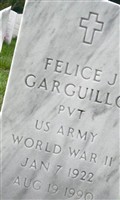 Felice J Garguillo