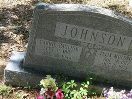 Felix Muldrow Johnson Felix Muldrow Johnson