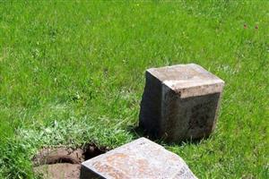 Ferguson Farm Family Plot