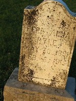 Fern Anna Pyne Fern Anna Pyne