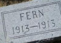 Fern Curtis Fern Curtis